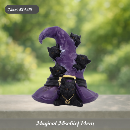 Magical Mischief 14cm Ad 5
