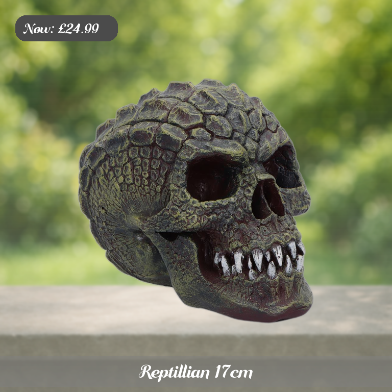 Reptillian 17cm Ad 5