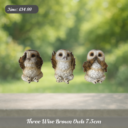 Three Wise Brown Owls 7.5cm Ad 5