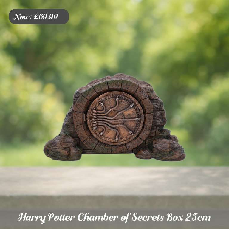 Harry Potter Chamber of Secrets Box 25cm Ad 5