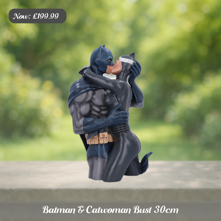 Batman & Catwoman Bust 30cm Ad 5