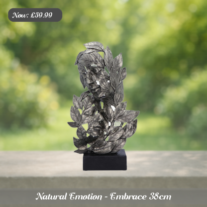 Natural Emotion - Embrace 38cm Ad 5