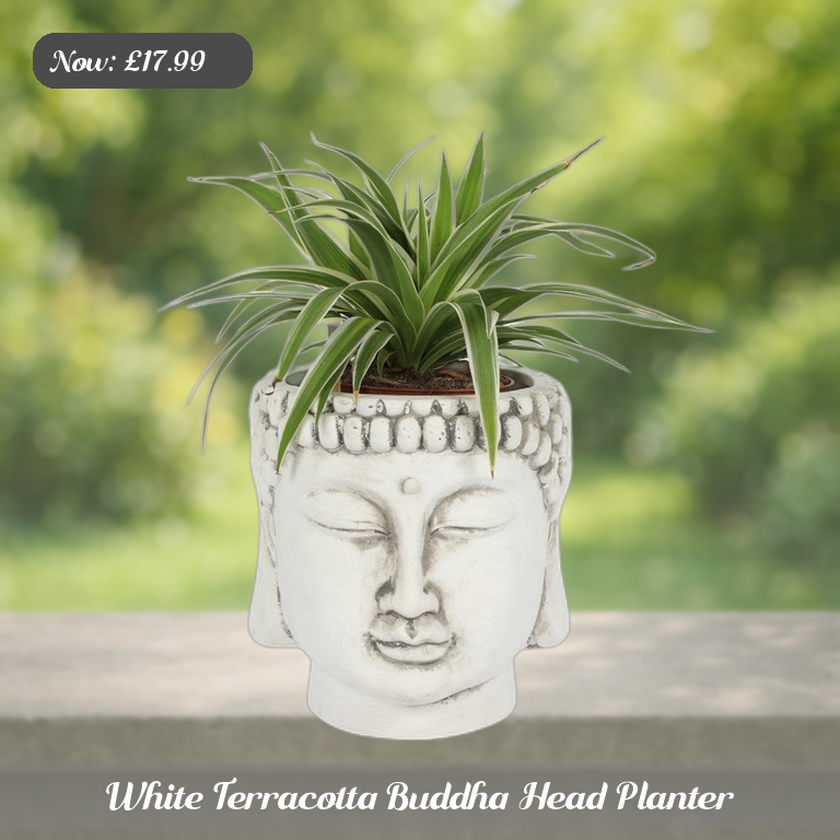 White Terracotta Buddha Head Planter Ad 5