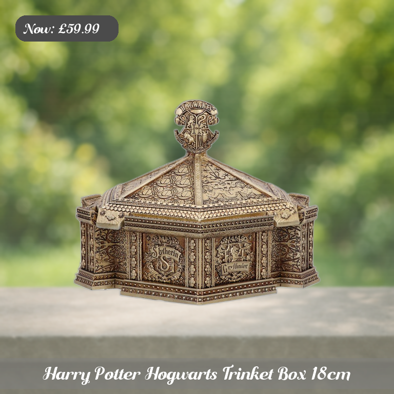 Harry Potter Hogwarts Trinket Box 18cm Ad 5