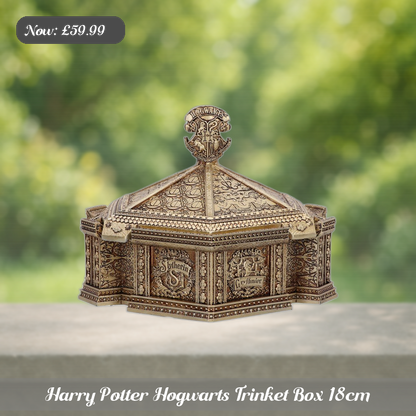 Harry Potter Hogwarts Trinket Box 18cm Ad 5