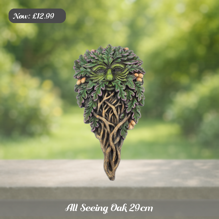 All Seeing Oak 29cm Ad 5