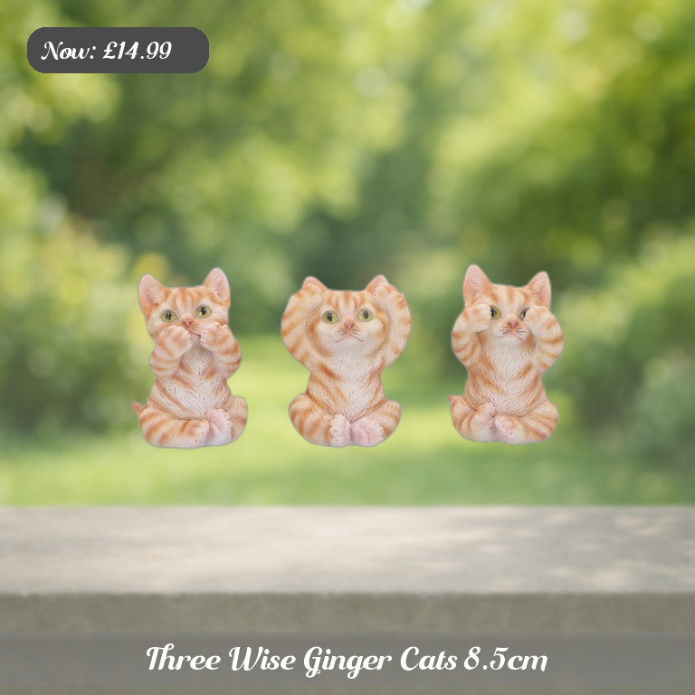 Three Wise Ginger Cats 8.5cm Ad 5