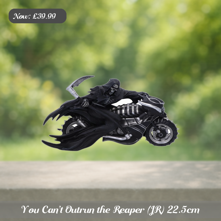 You Can’t Outrun the Reaper (JR) 22.5cm Ad 5