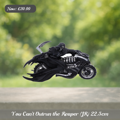 You Can’t Outrun the Reaper (JR) 22.5cm Ad 5