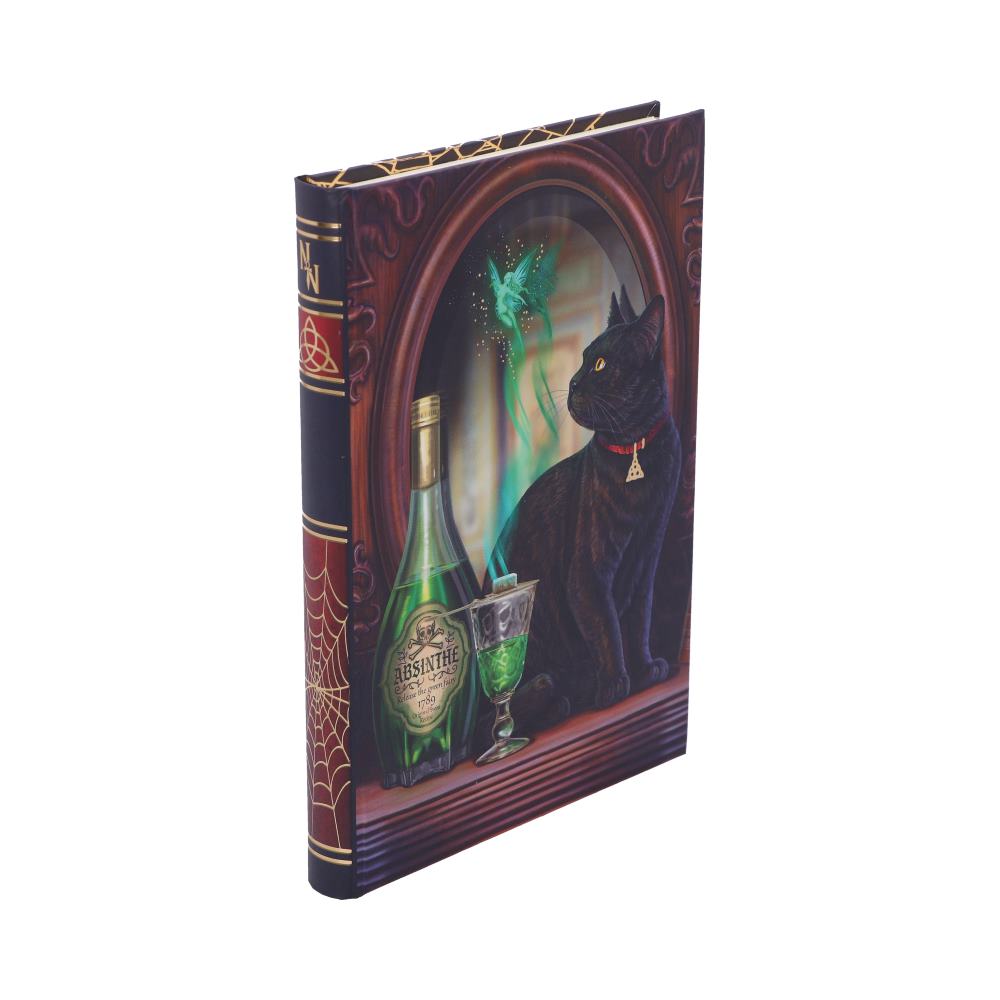 Absinthe Journal (LP) 17cm