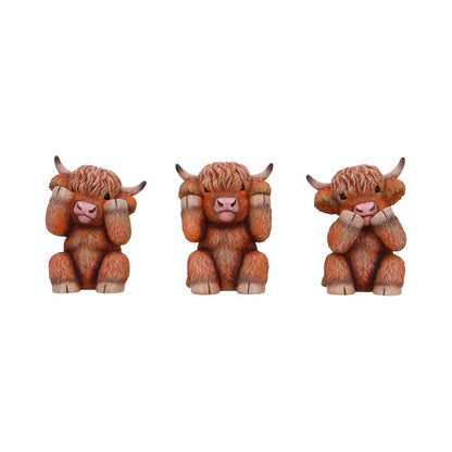 Three Wise Highland Cows 9.6cm