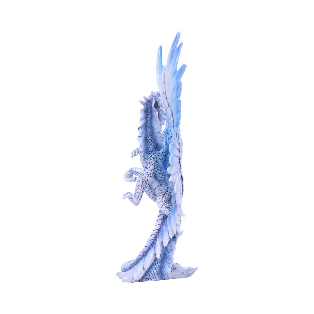 Adult Silver Dragon (AS) 31.5cm