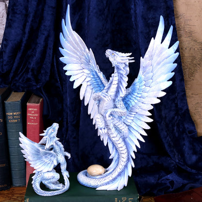 Adult Silver Dragon (AS) 31.5cm