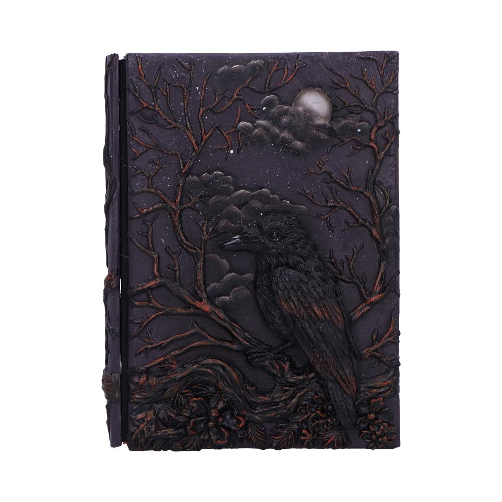 Raven's Grimoire Journal