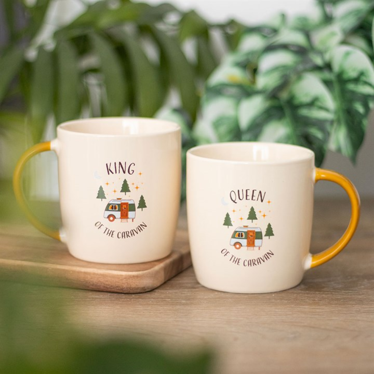Camping King and Queen Couples Mug Set 12cm