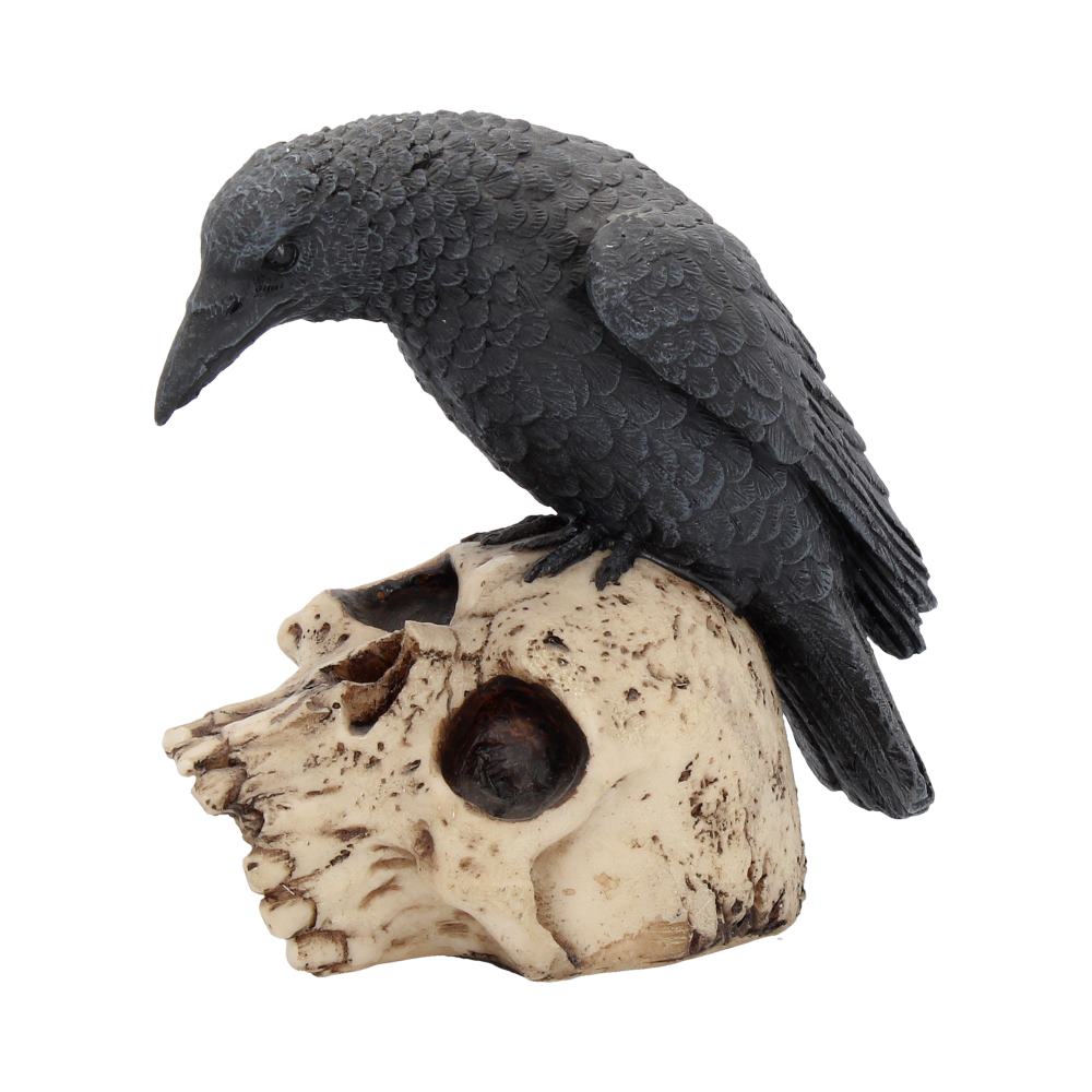 Ravens Remains 13cm