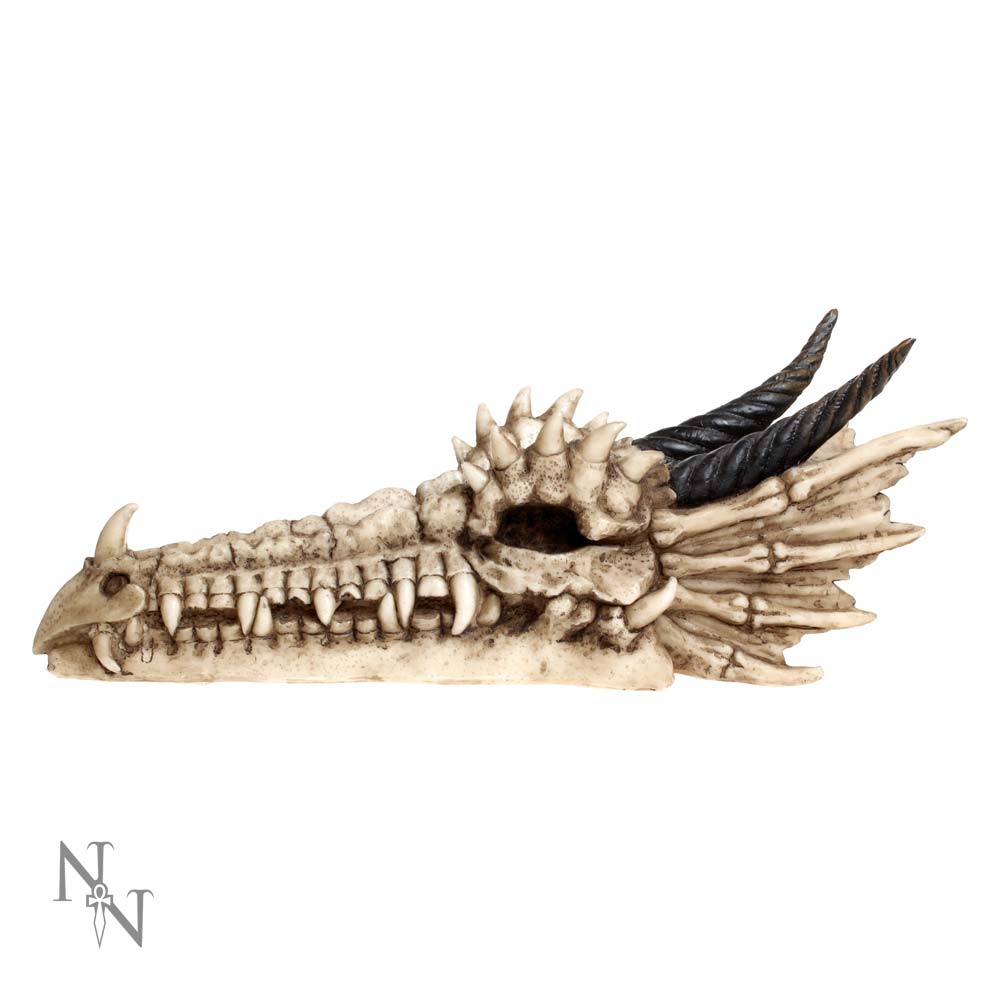 Draco Skull Incense Holder 24cm