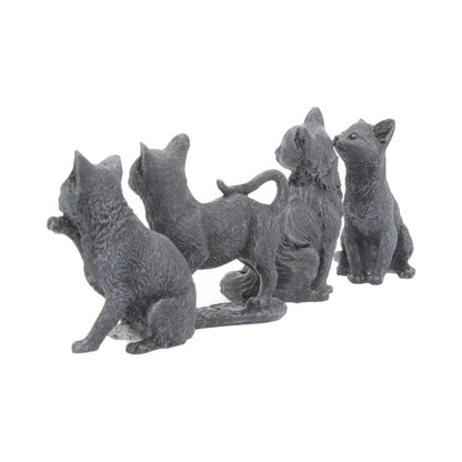 Lucky Black Cats 9cm (Display of 24)