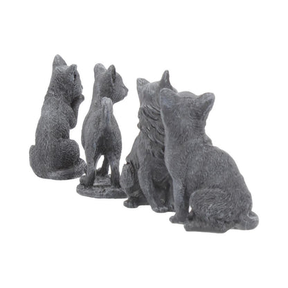 Lucky Black Cats 9cm (Display of 24)