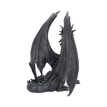 Black Wing 37cm