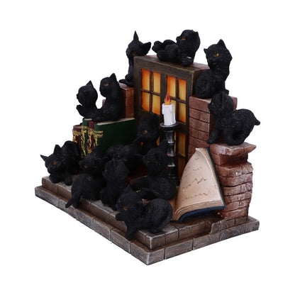 The Witches Litter 24.8cm (Display of 36)