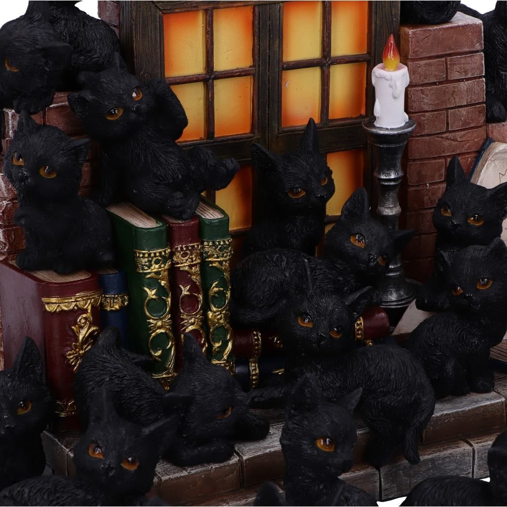 The Witches Litter 24.8cm (Display of 36)