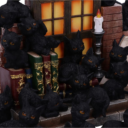 The Witches Litter 24.8cm (Display of 36)