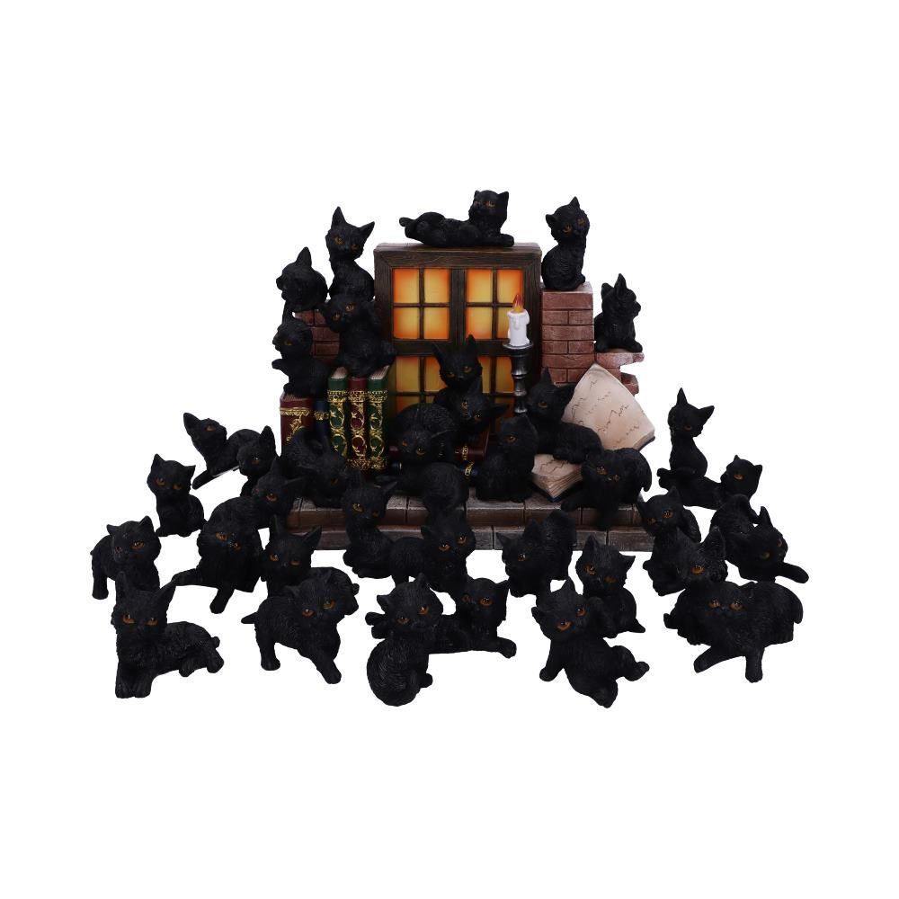 The Witches Litter 24.8cm (Display of 36)