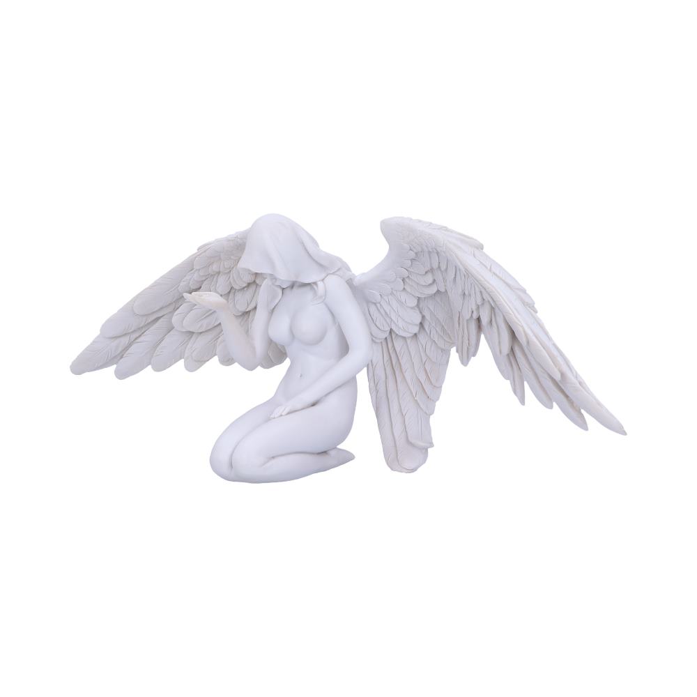 Angels Offering 38cm