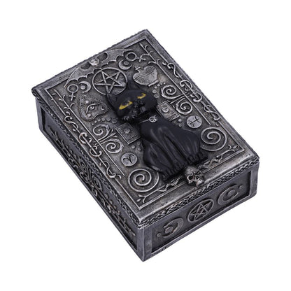 Familiar Spell Box 13.7cm