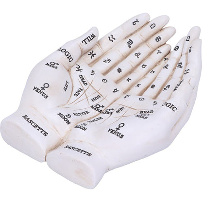 Palmist's Guide (White) 22.3cm