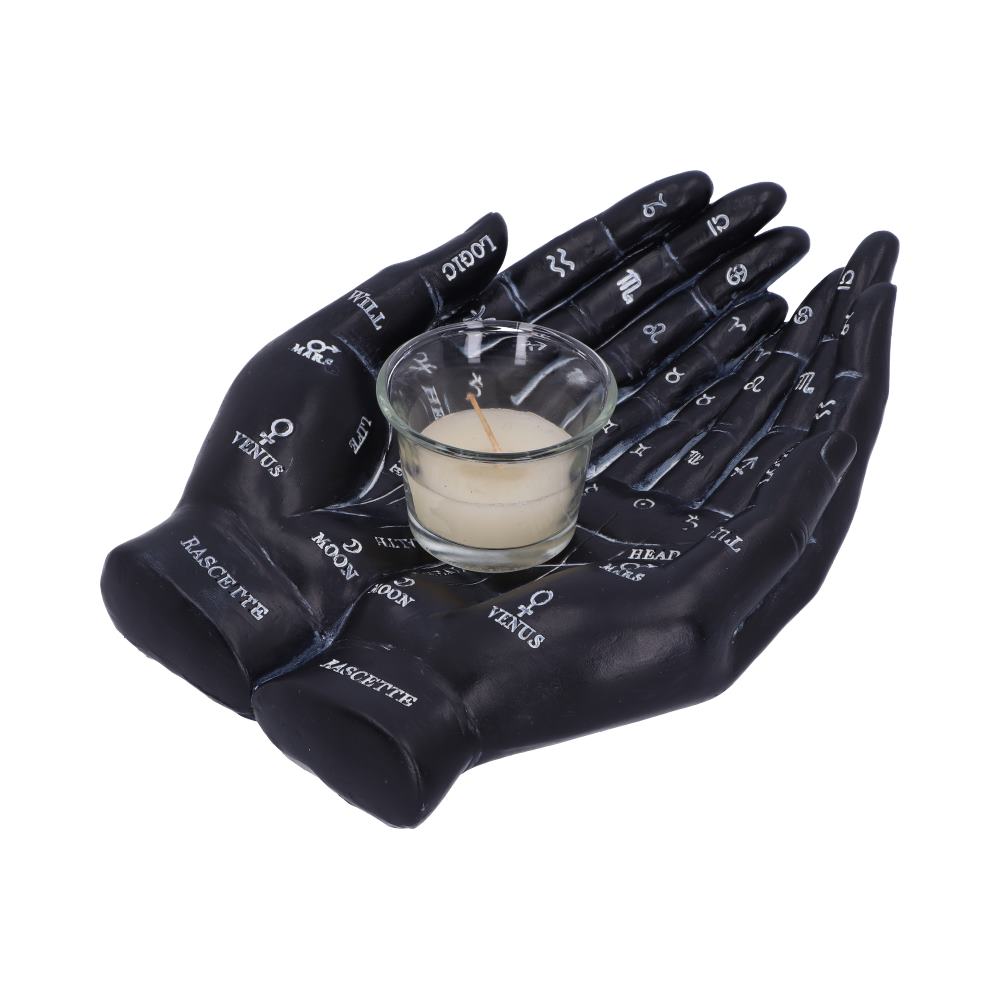 Palmist's Guide (Black) 22.3cm