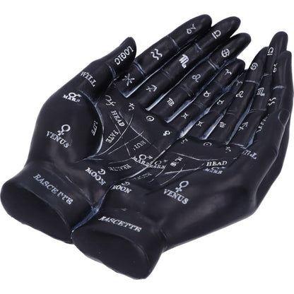 Palmist's Guide (Black) 22.3cm