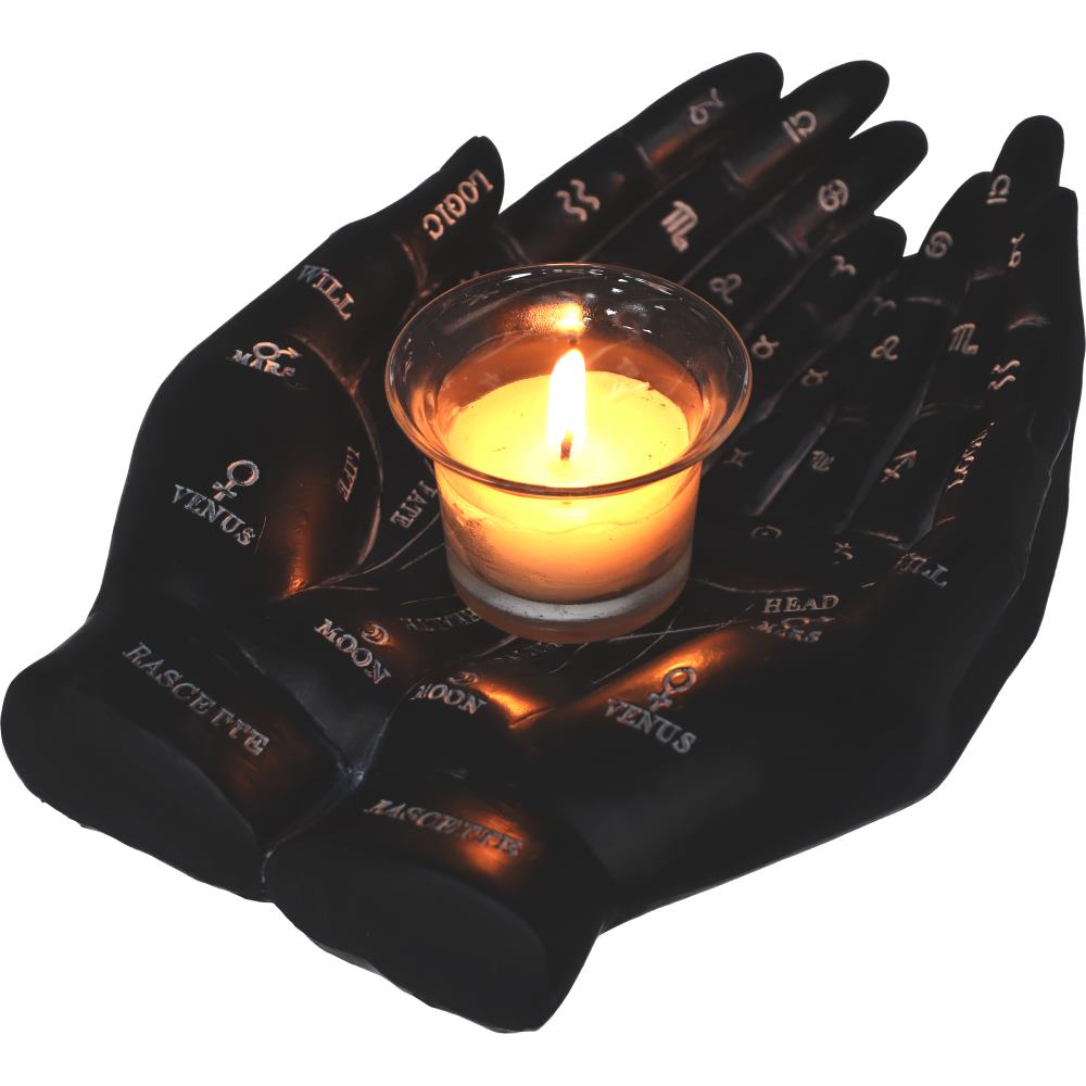 Palmist's Guide (Black) 22.3cm