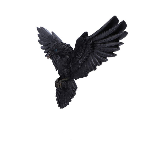Flight of the Raven 35cm